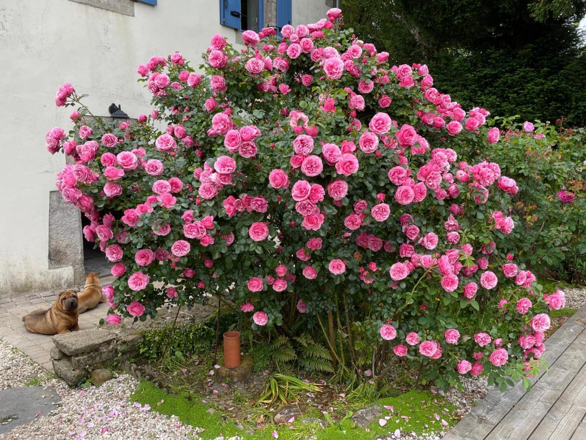 Chez Nosch Bed & Breakfast Plouegat-Guerand Dış mekan fotoğraf